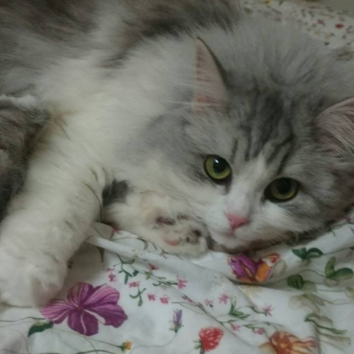 094adae0 7ec0 4536 83dc 7d9761141ccd 1520513208180