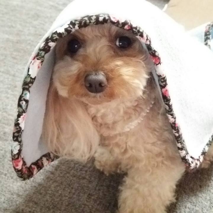 094b1227 18e9 4e73 8d59 c61898227fe5 1526476913663