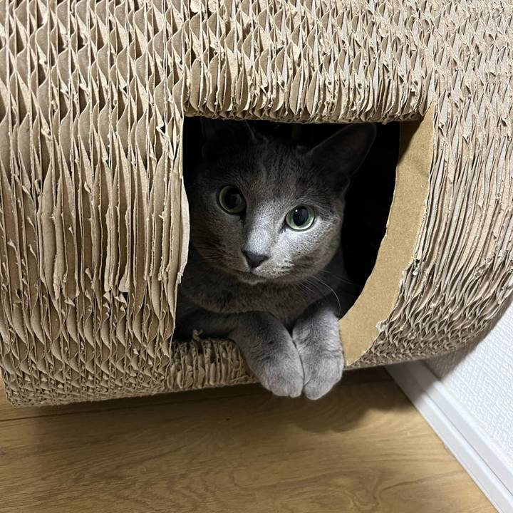 094b217f 3469 4121 a36e 0bddcb282aa2 1773464159305