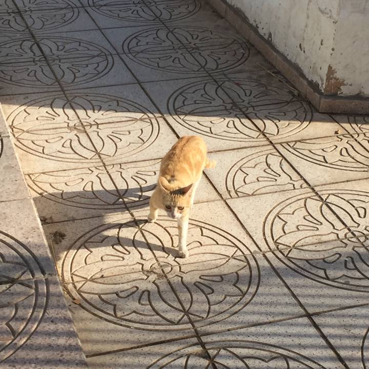 094b2f12 4141 4a60 b410 96fb8e981afc 1524500033578