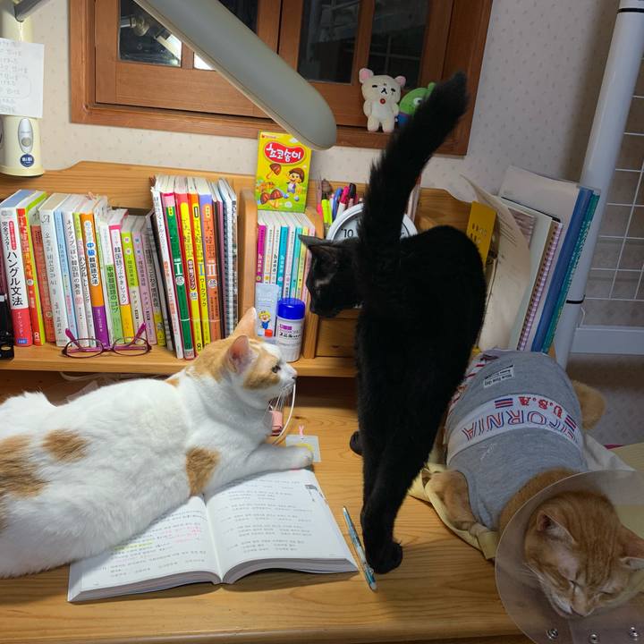 094b45ee fc39 47b8 ae09 3b38e16cbd50 1634066492577