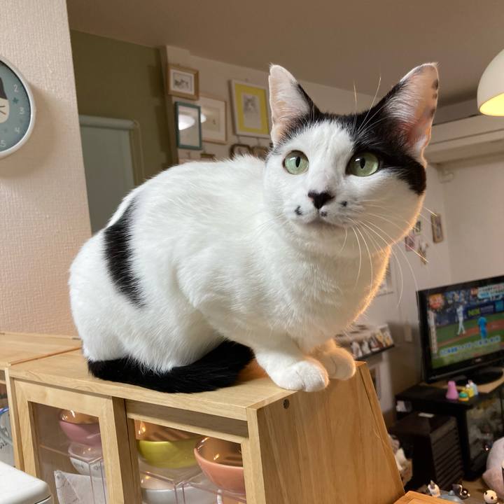 094b8d97 58f1 41b4 9bf7 379d357abcee 1761770150114