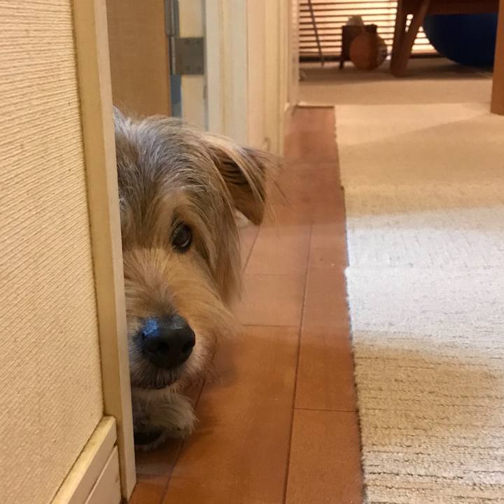 094bec00 3a04 49e9 814d 0efe1751befd 1557015631948