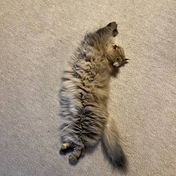 094c3c7f 49fe 4c00 bf8f c82f4fbfe12e 1637577456873