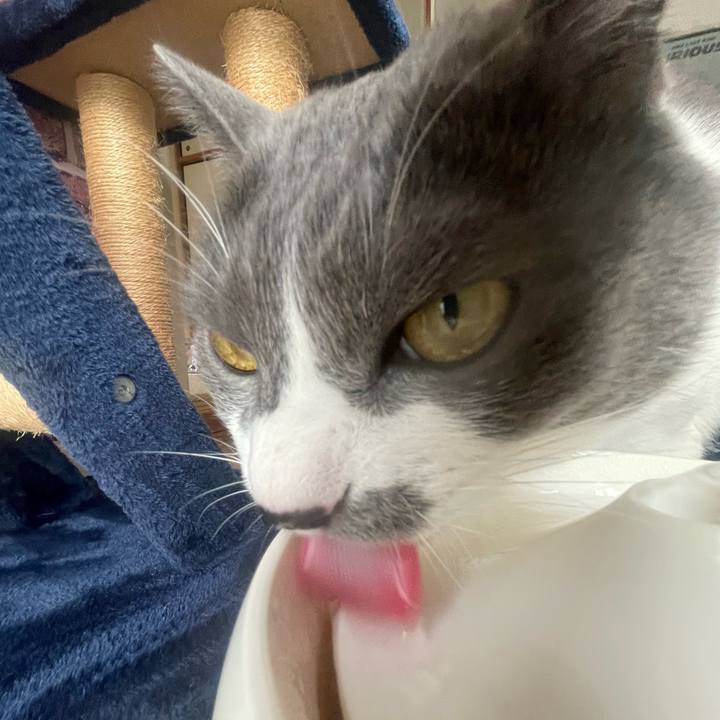 094c723a b1df 4abe 85ff 043fd79bd7e8 1734741174105