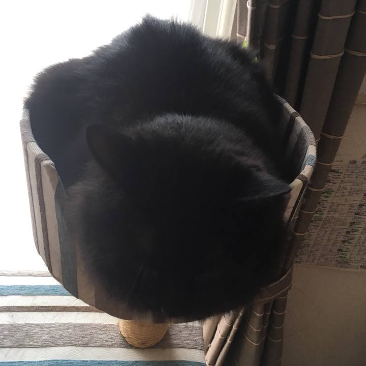 094c83a4 8309 4599 9573 5821eebc2eff 1572059168025