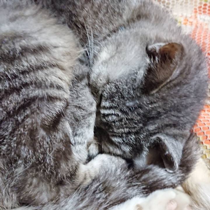 094c9e20 26bd 468f b07e e6d1bfc96ae6 1568985277724