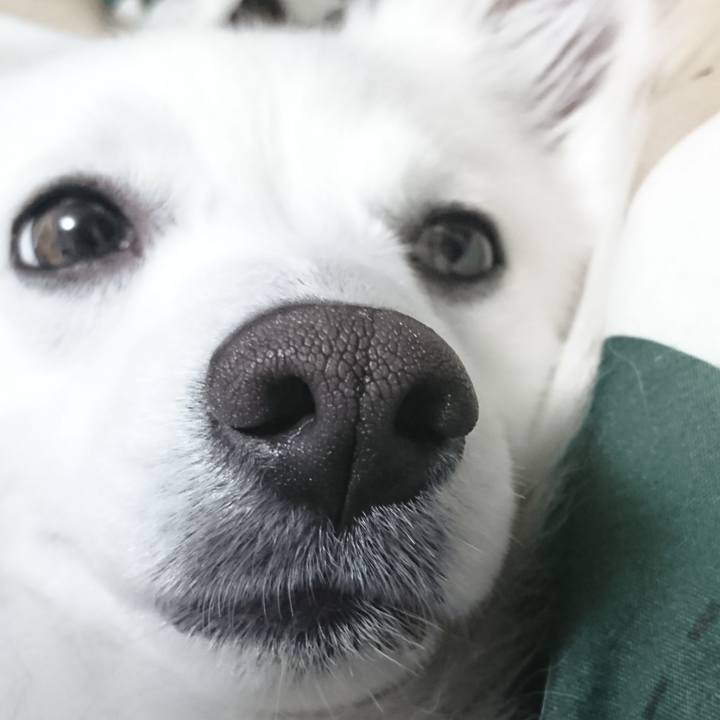 094cab86 1da3 411f b3be ed100a4e0188 1523490611675