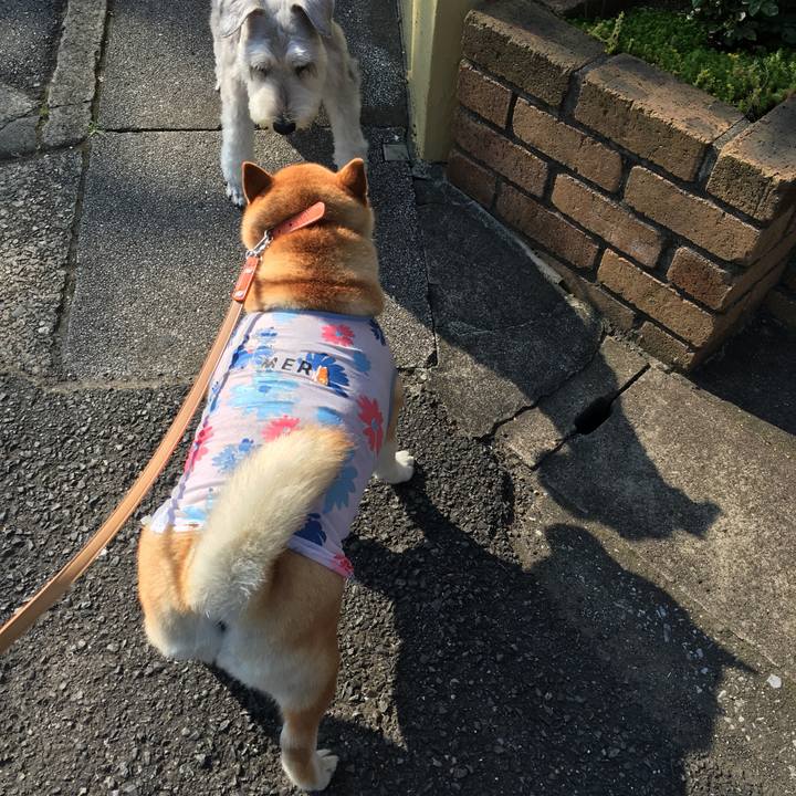 094cb330 739a 4f4a 8a2a f13e38b46f28 1564878419676