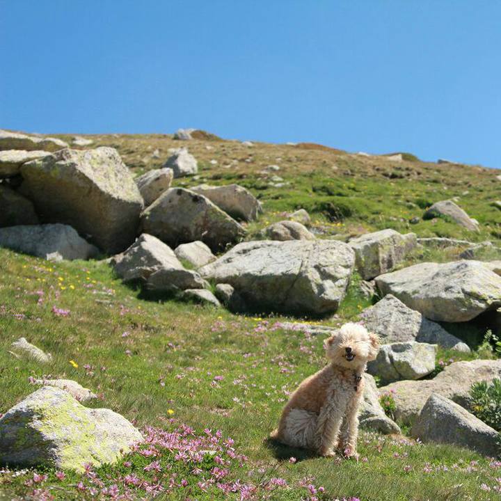 094cdc1c 9afe 467c 8da4 9e8c105150f4 1562598611334