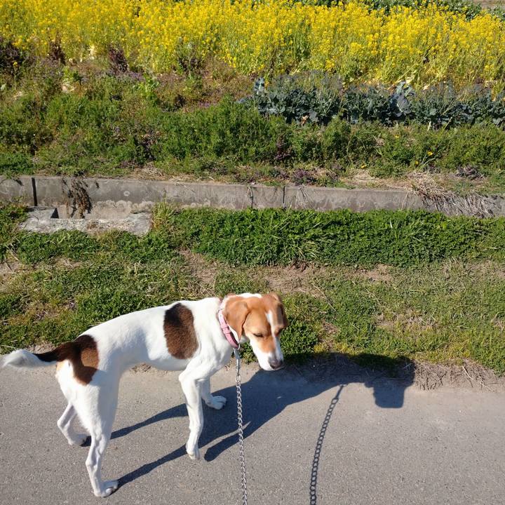 094d4640 9b93 415d ac6f 5277d7ec8fc8 1584684295387