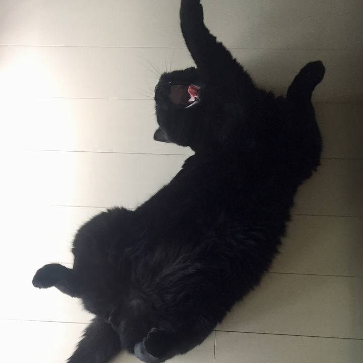 094d4969 bb85 4041 b0b7 562092edac49 1564442624884