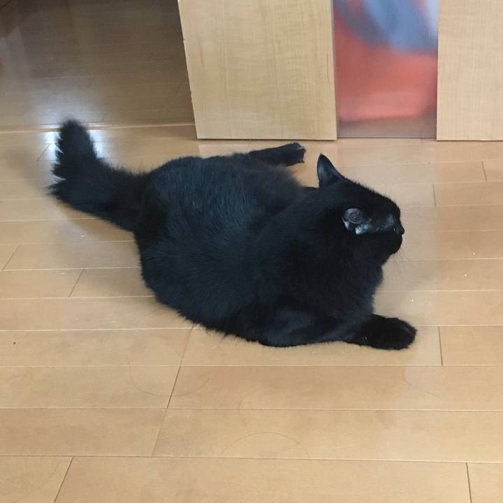 094d55b1 9174 4e7e 94b3 4cc9b4f72f7a 1535422206829