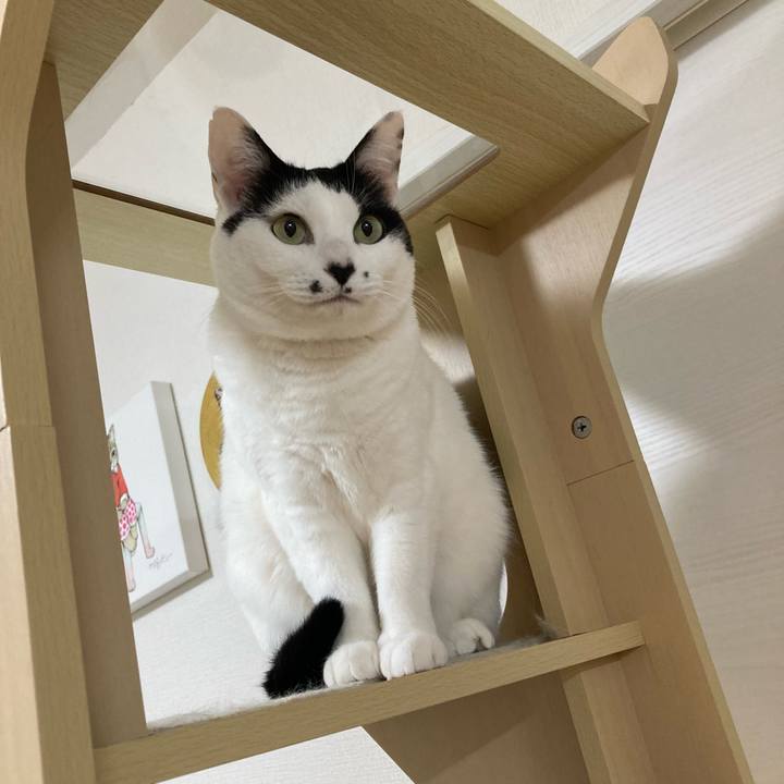 094d7198 df4b 45bc b2ce 98ca800f3bab 1770670514673