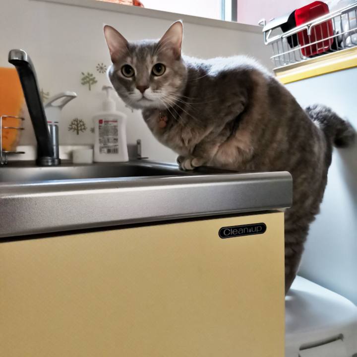 094dd1c6 c294 434b 9aea 50ae0c09ffcf 1609906343519