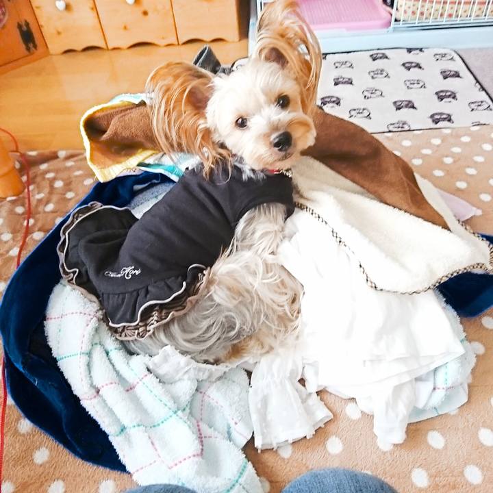 094e01cb dbb1 4604 bdf9 2a72f0d064e2 1541576230264