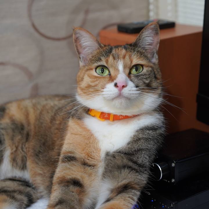 094e913f 60bf 4cfd 89be 7580a91ada3a 1626273180615