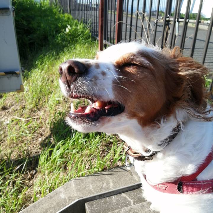 094eaec0 8e79 4c58 8385 192c34261224 1626480315743