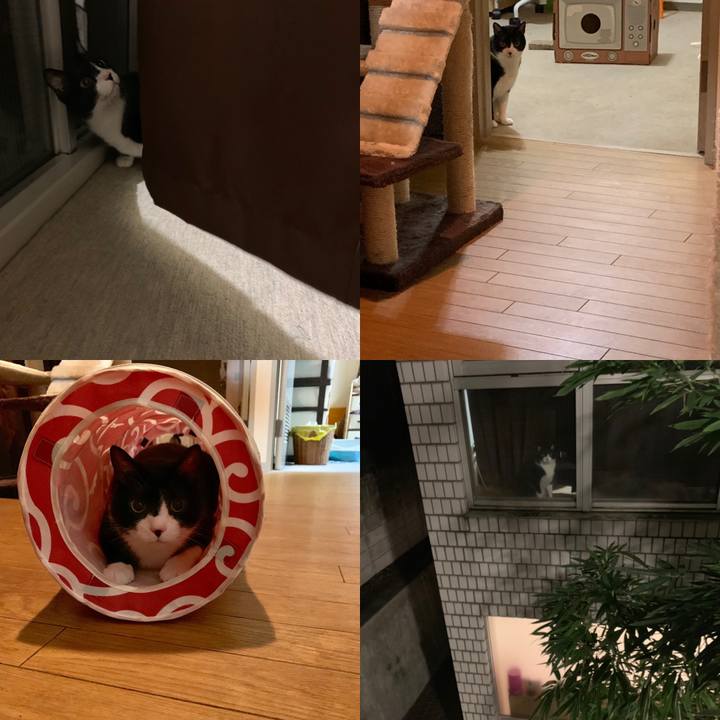 094eb7ca 4e10 4024 ab6d 9c0f88cbae11 1545063226864