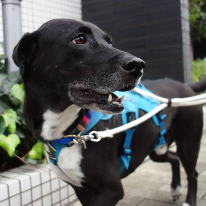 094ec3e7 ac18 458a af29 221acdbe6f08 1635294819232