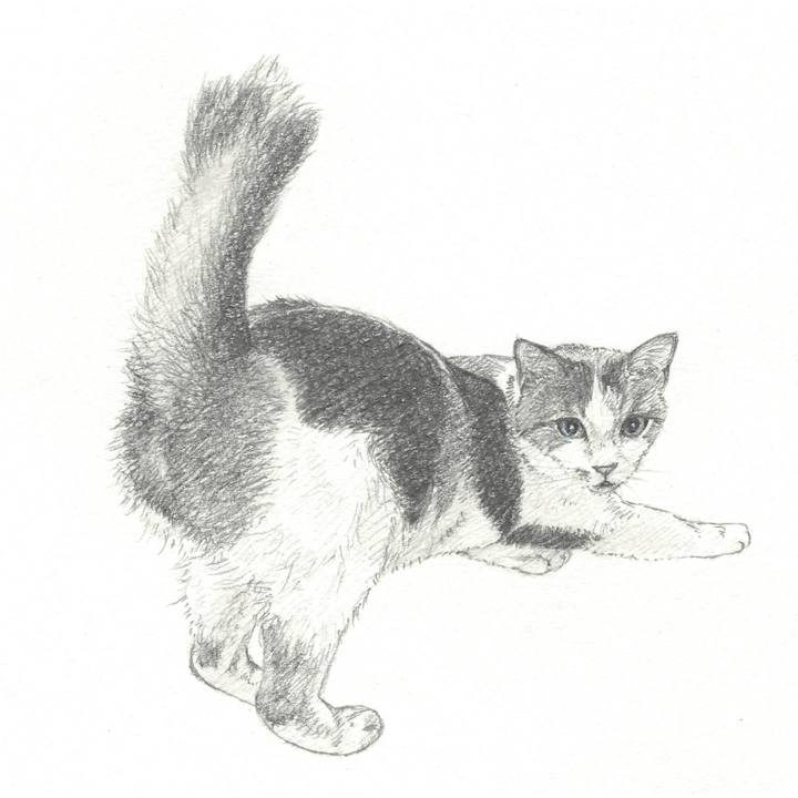 094ed235 4747 4045 a765 c817cadabce9 1558102870586