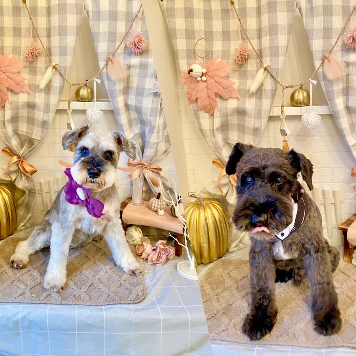 094ee512 b1fd 48b8 b27c cb3dab4f3ae3 1697290917704