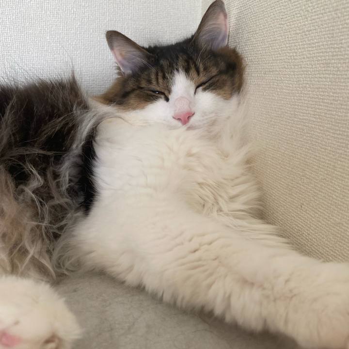 094ef807 7354 4d6a 93a9 e1eee76a0ba4 1663542322535