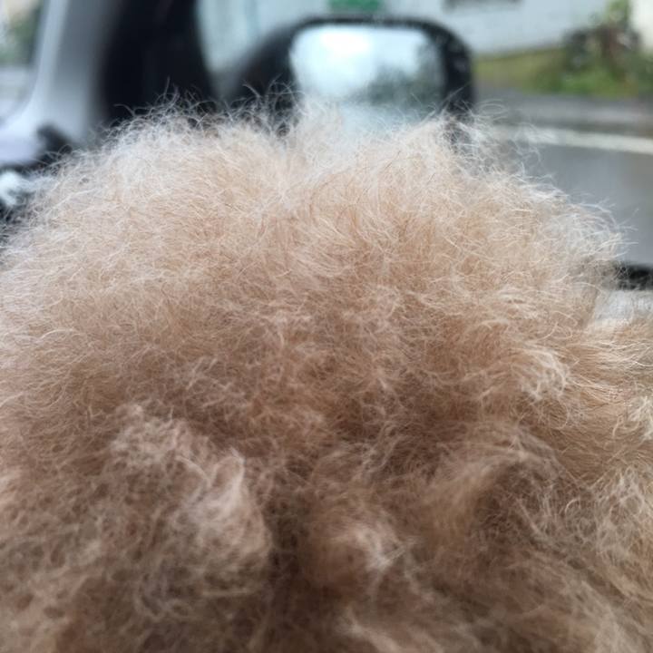 094efe78 8644 4be1 a96c f459e534e247 1567838320291