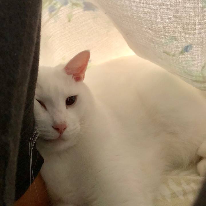 094efff3 5beb 440b b418 f808bf8b239a 1537912985194