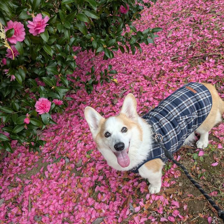 094f4c84 e1ce 480f 9b5e 641c4a9f1abf 1765498579308