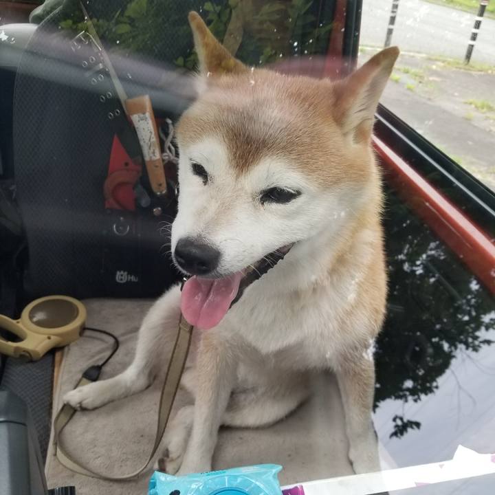 094f8799 0839 4ad9 9d51 36b30929725a 1660550601702