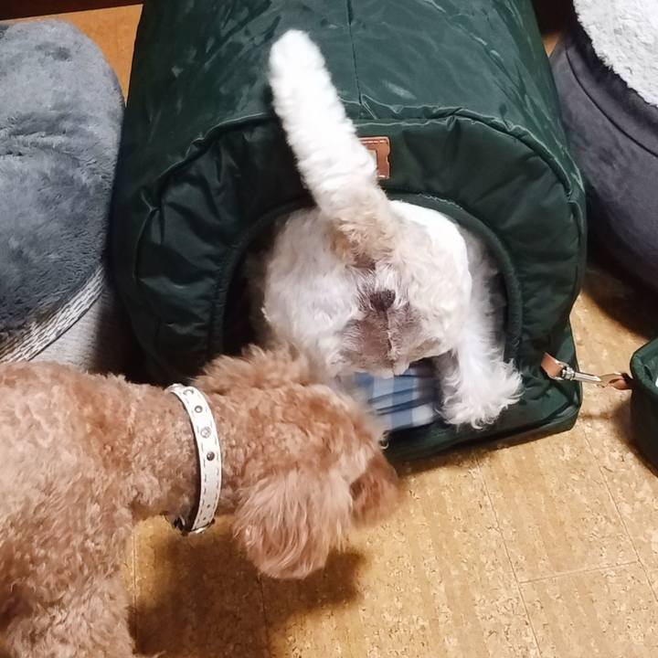 094f98f7 daf3 4eeb ae21 ff5601dc8a3a 1557409513072