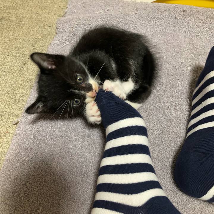 094f9f1b 1526 4c5c b957 622468ff040a 1537024218077