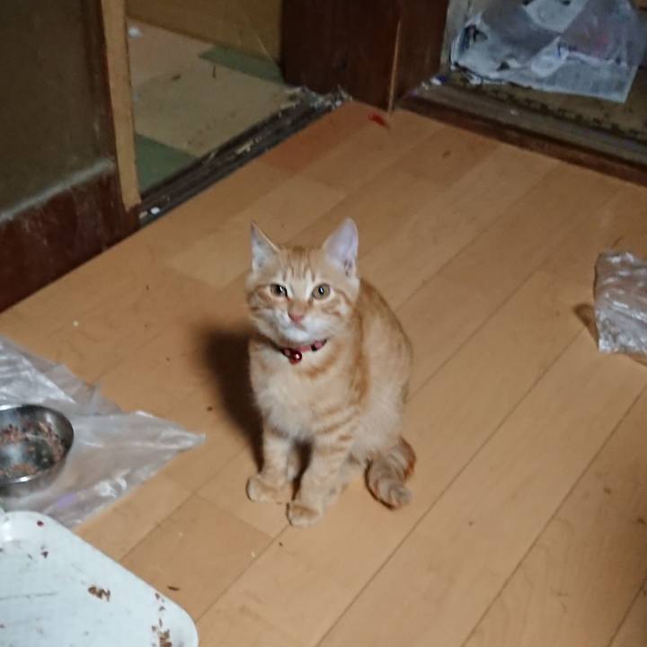 094fd35c 3fe2 459e bedf 78e843cf9d7c 1633552870808