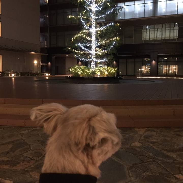 09500d56 6a30 4342 97c9 babf64ae3c81 1547638750511