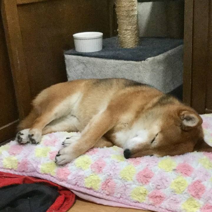 09502e93 ae50 4e77 ad1f 92672ba5f0fb 1589780634306