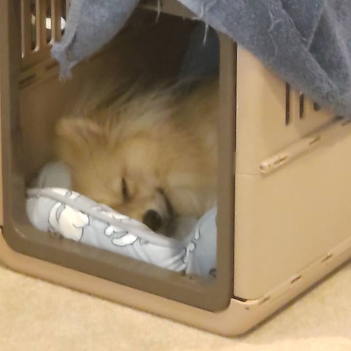 095052fb 7469 43a4 8c53 0d5bdef2dc80 1753573706867