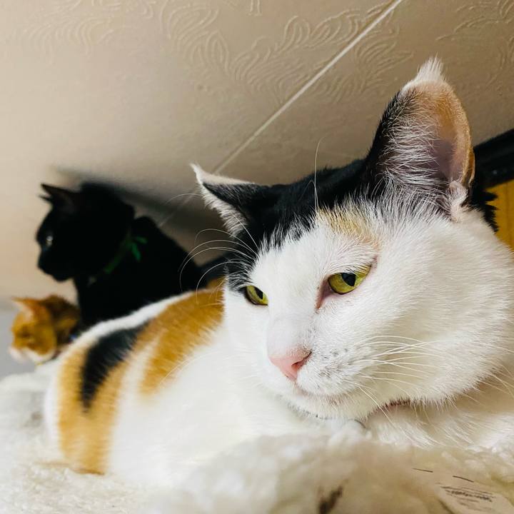 09509bc9 bba5 478b 9ce1 bb7dd654aba2 1670538386861