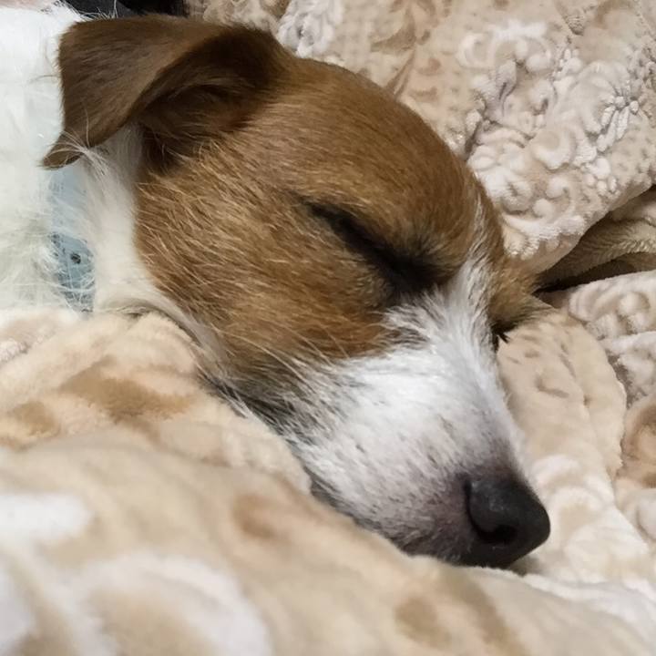 0950b528 876e 440d a583 aff47ce79f59 1518963100519