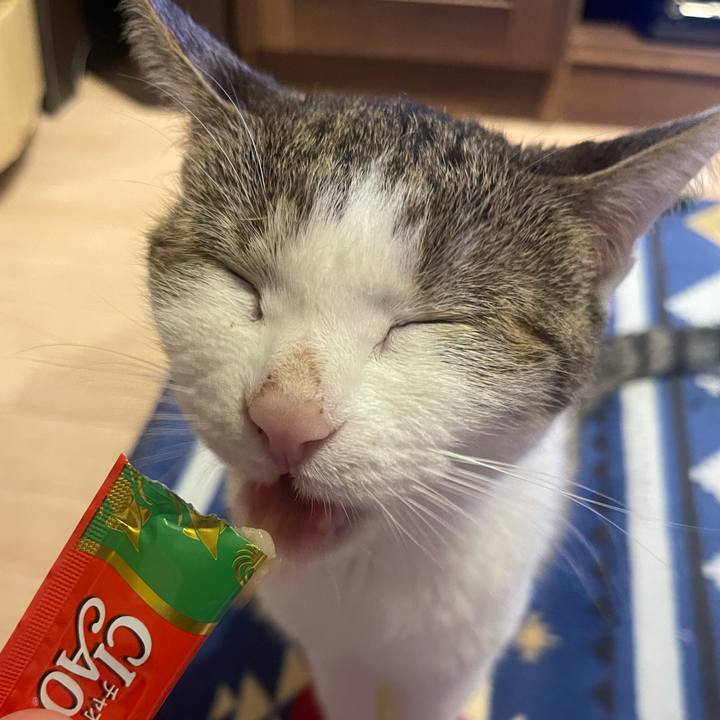 0950c0ad cd05 456c 91dd 4b6f792d390e 1630574553653