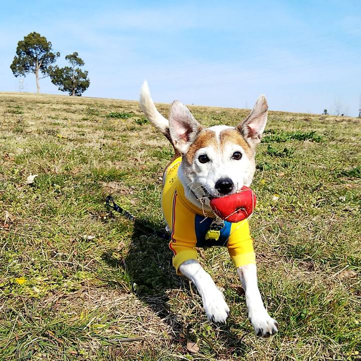 0950c188 15fa 4963 9222 e90aad00f029 1551533357124