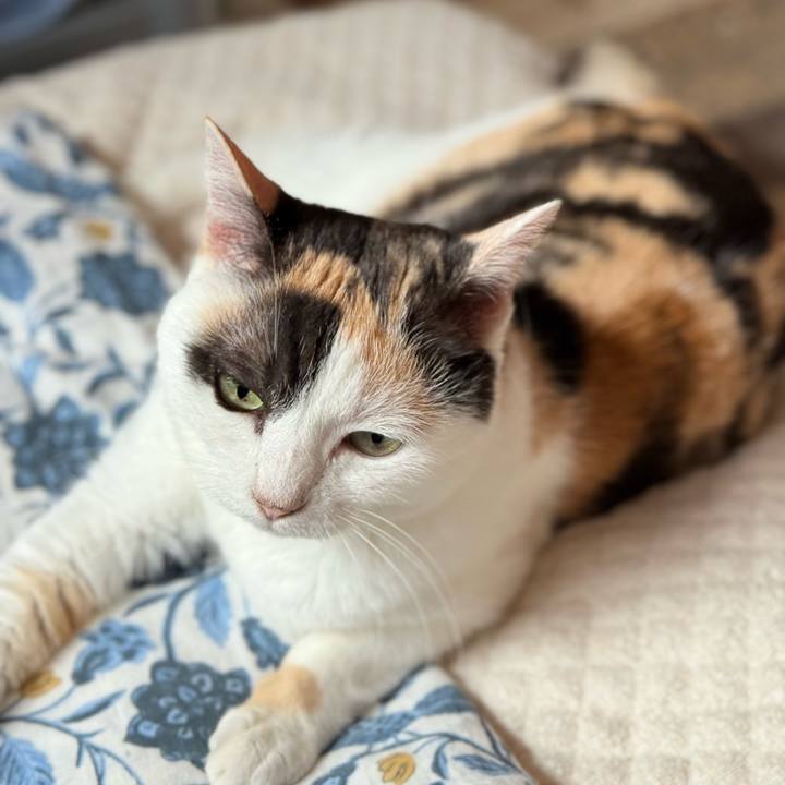 0950c7d2 b063 4261 bbb1 3eda278a0b76 1752807199442