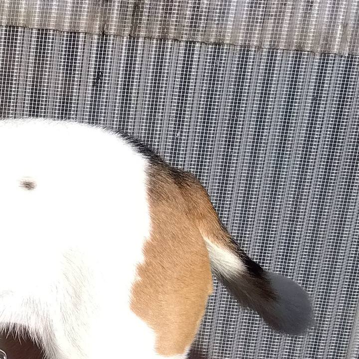 0950cf8c 74c1 413f b0df 339ecd87ac1b 1704550439211