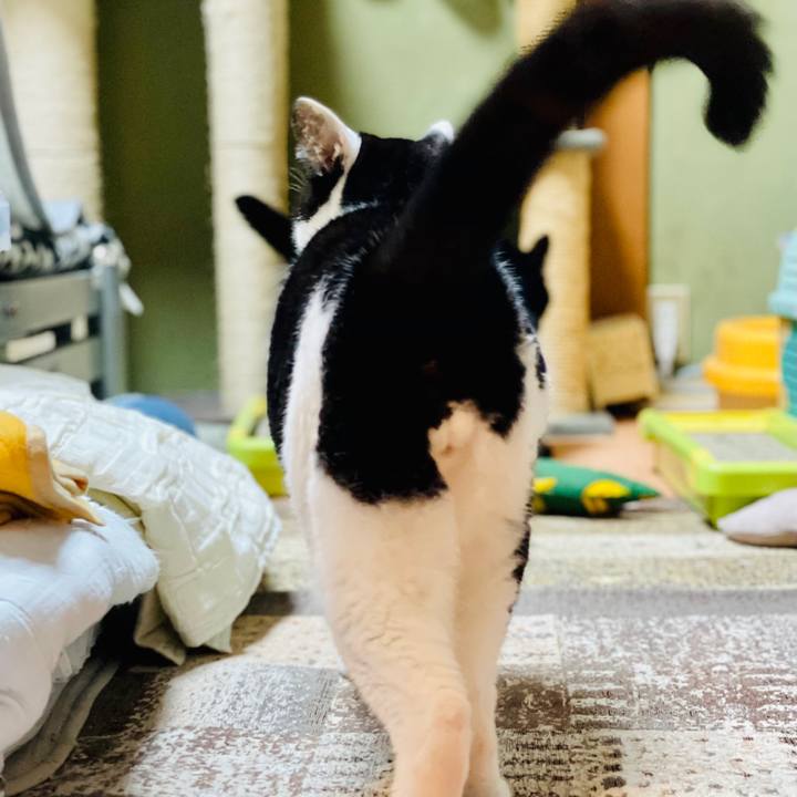 0950e46e 6fee 4623 88e9 daecd39feade 1604887966136