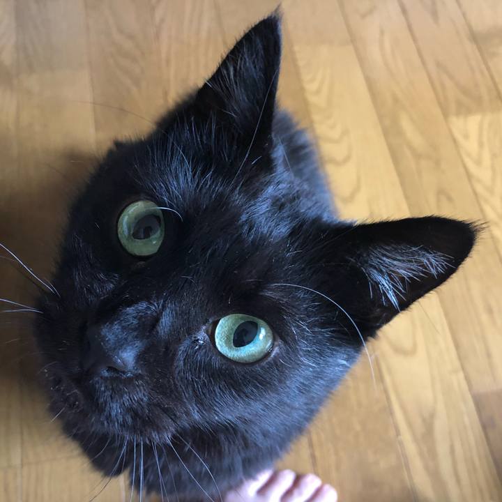 0950eeb1 b42f 4bf0 be98 c18e6fb3ad27 1594455033754