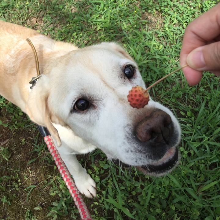 09513c86 a057 4f7b a6bc 56527abaa925 1535859645861