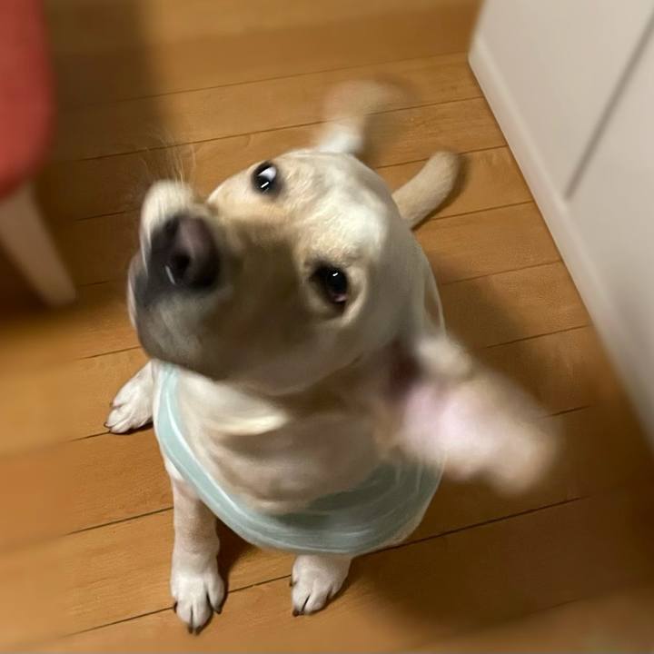 09513fea c0eb 4acf 8989 3257ff626be7 1669041142922