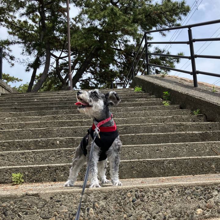 095141de 5c42 4800 87f5 e31f95b181f4 1747541016409