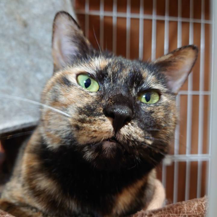 095170e4 a019 4921 a697 421d437eadba 1702542003269