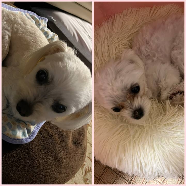 0951c095 7f8f 47c5 ad82 4666aac68ff5 1717158300763